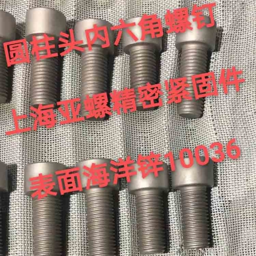 海洋锌10036螺栓（内六角）