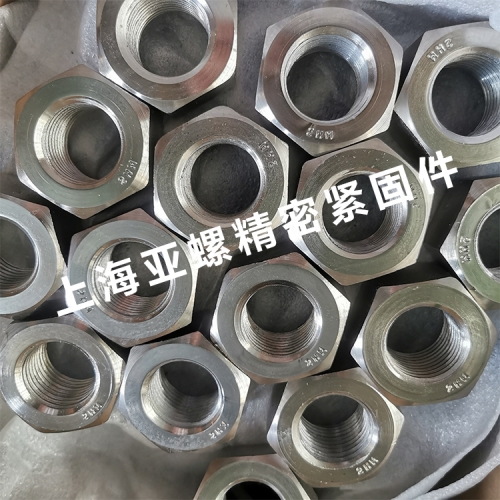 S32205/F60不锈钢螺母
